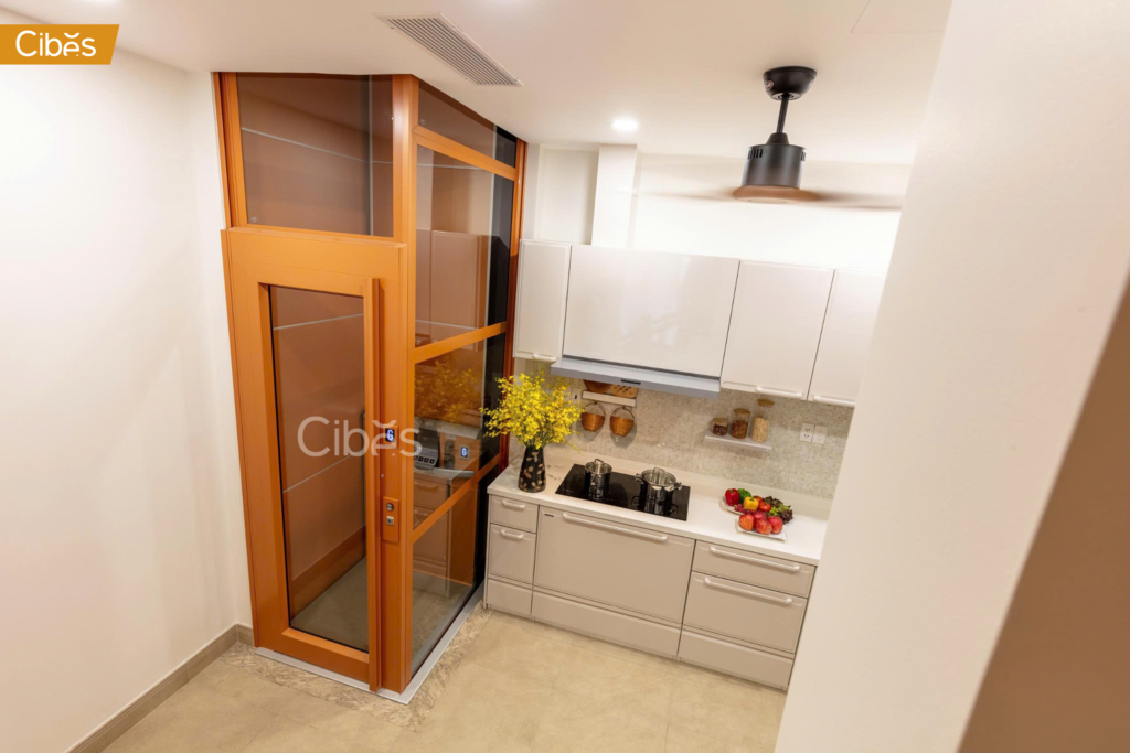 thang máy biệt thự cao cấp